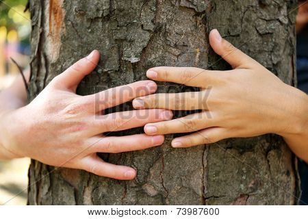 Two persons hugging trunk large tree, close-up