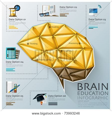 Brain Shape Three Dimension Polygon Education Infographic