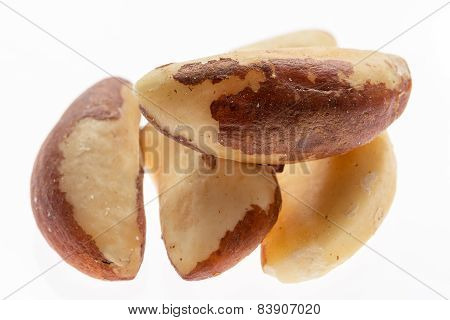 Brazil Nuts Isolated On White Background