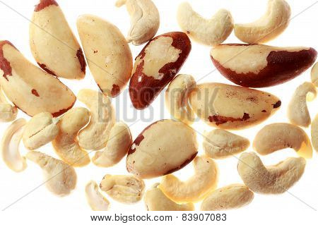 Brazil End Cashew Nuts Isolated On White Background