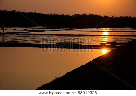 Sunset on Rice Paddies