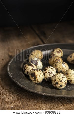 Moody Natural Lighting Vintage Retro Style Image Of Quaills Eggs