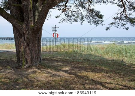 Tree and life saving buoy