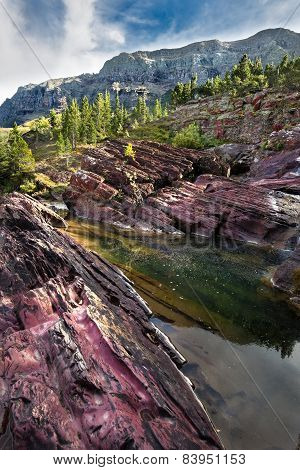 Late Afternoon On Redrock Trail