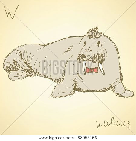 Sketch Fancy Walrus In Vintage Style