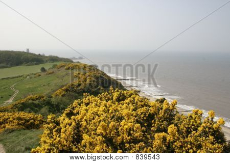 coastal scene