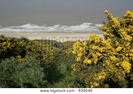 coastal scene