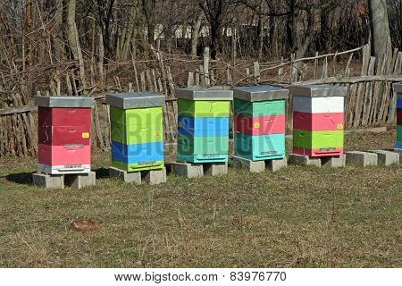 Bee hive
