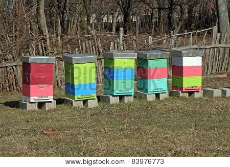 Bee hive