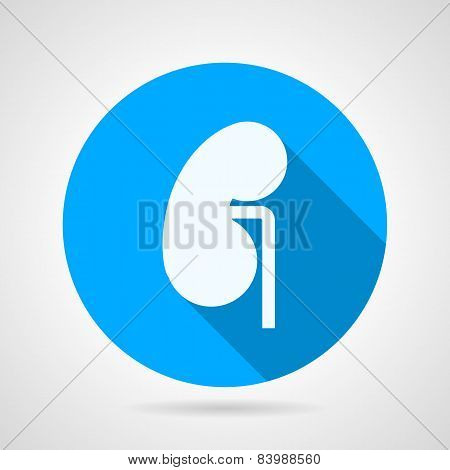 Round vector icon for nephrology