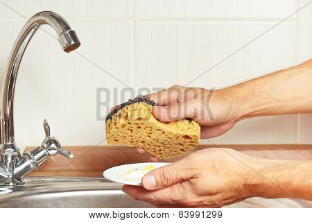Hands with sponge and dirty saucer over the sink in kitchen