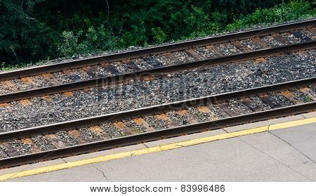 Pair Of Rail Tracks By Platform And Shrubs