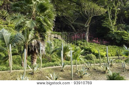 Picturesque Habitation Anse Latouche Garden In Martinique
