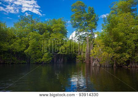 Black River