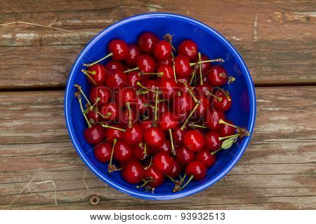 Freshly Picked Organic Cherries