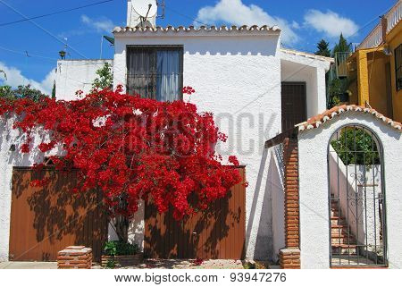Spanish villa with Bougainvillea, Spain.