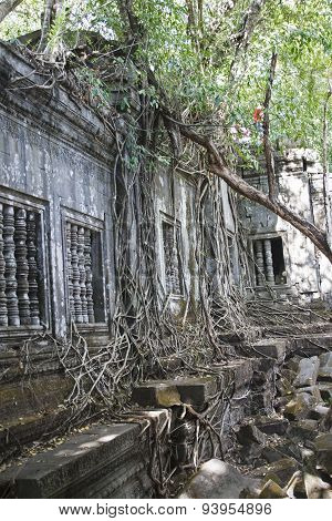 Ta Prohm
