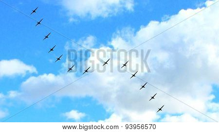 formation of a flock of birds