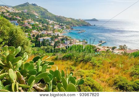 Cactuses and bay of Greek houses on coast, Greece