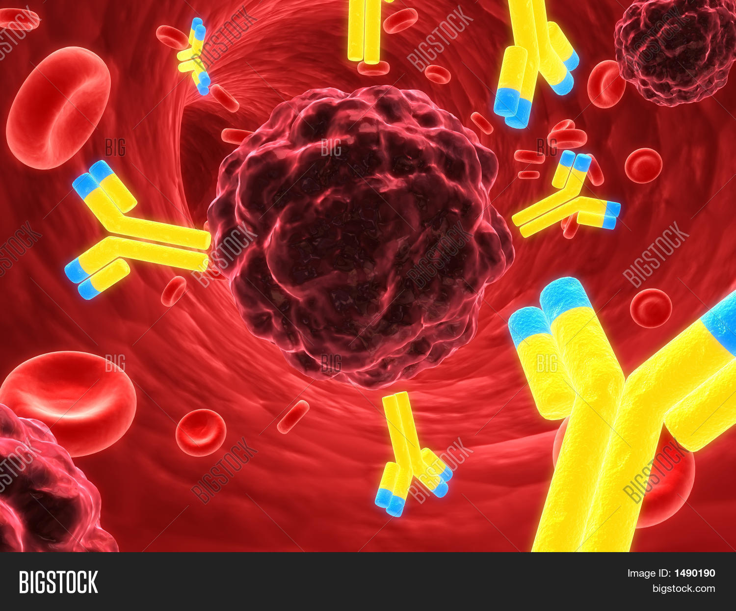 Antibodies Attacking Image & Photo (Free Trial) Bigstock