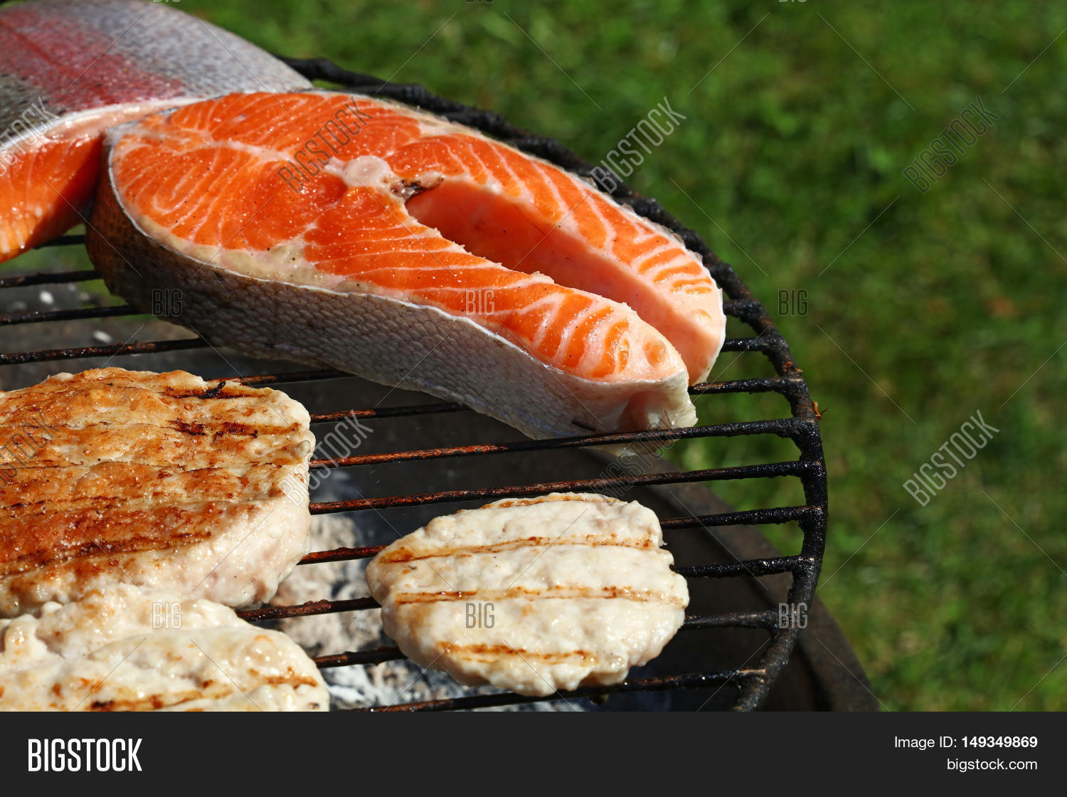 Chicken Turkey Burgers Image & Photo (Free Trial) Bigstock