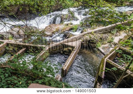 Closeup shot of a fish ladder on the Tumwater River in Washington State.