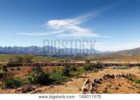 The Garden At The Entrance Of The Swartberg Pass