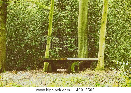 Old Abandond Trailer Left In The Woods