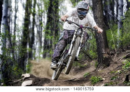 Extreme mountainbiker rides on path in forest