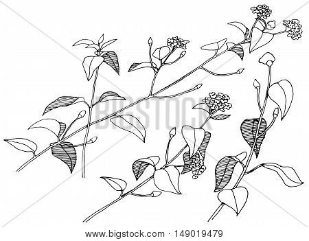 Hand drawn branches with flowers. Vector illustration.