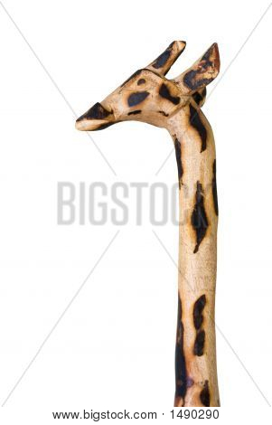 Giraff närbild