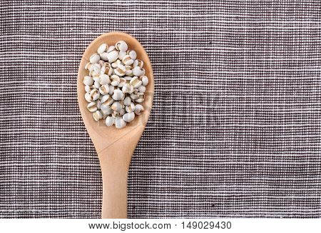 Coixseed With Wooden Spoon