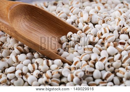Coixseed With Wooden Spoon