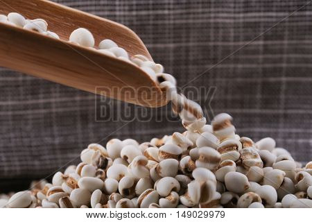 Coixseed With Wooden Spoon