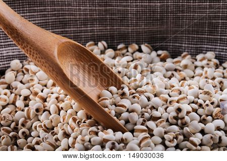 Coixseed With Wooden Spoon