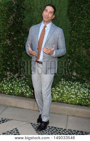 LOS ANGELES - SEP 25:  David Schwimmer at the The Rape Foundation's Annual Brunch at the Private Residence on September 25, 2016 in Beverly Hills, CA