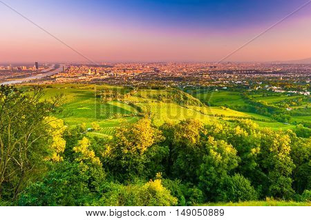 Beautiful view of skyline of Vienna and Danube River with green trees of Doebling district, Austria. Travel photo of the landmark.