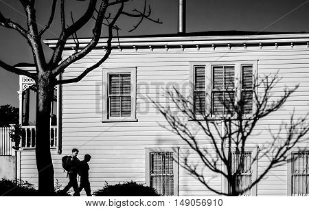 Tree and person casting a shadow on the wall of a white house in the early morning