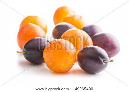 Yellow and purple plums isolated on white background.