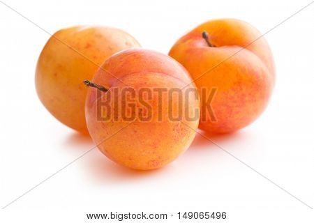 Ripe yellow plums isolated on white background.