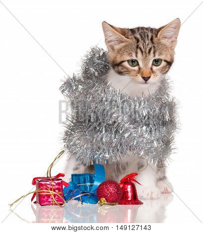 Cute kitten with accessories of celebration of new year isolated on white background