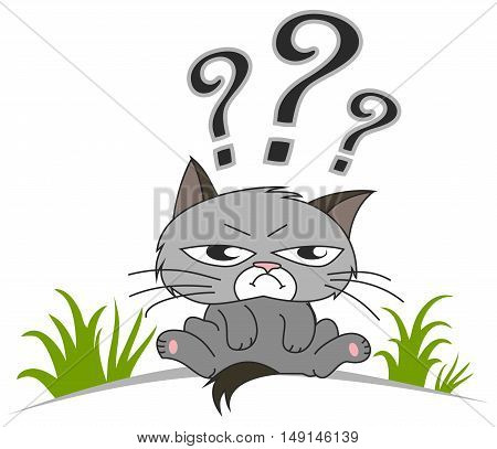 Thinking cat with questions mark above on white background