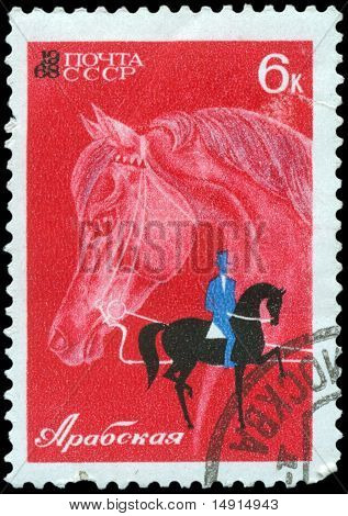 Stamp, Makro