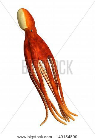3D Rendering Octopus On White