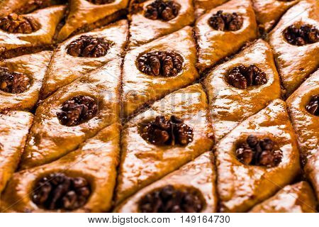 Baklava. Traditional east sweet with walnuts. Close up