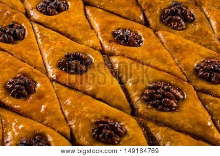 Baklava. Traditional east sweet with walnuts. Close up