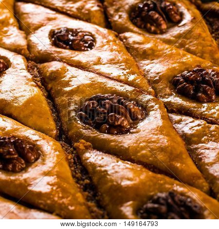 Baklava. Traditional east sweet with walnuts. Close up