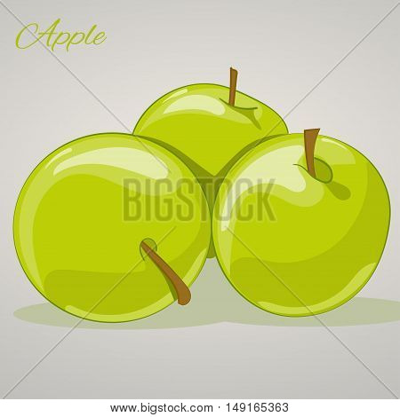 Cartoon sweet apples isolated on grey background, vector illustration. Fruits and vegetables collection.