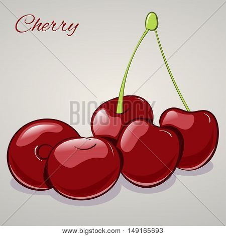 Cartoon sweet cherries isolated on grey background, vector illustration. Fruits and vegetables collection.