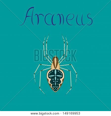 flat illustration on stylish background spider Araneus